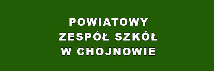 Powiatowy Zespół Szkół w Chojnowie